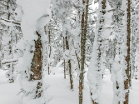 Parc national du Mont-Mégantic - Secteur de l'Observatoire